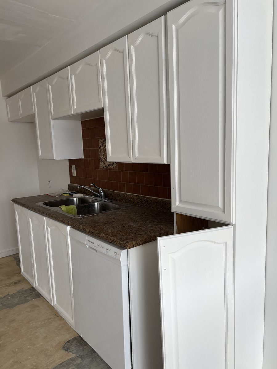 Painted white cabinets and drawers around the sink and dishwasher