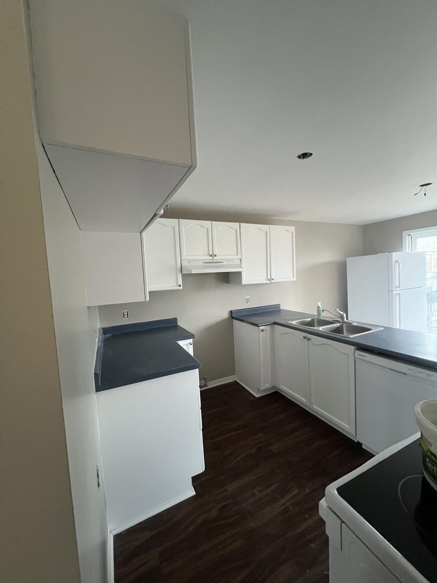 White cabinets around the sink and window